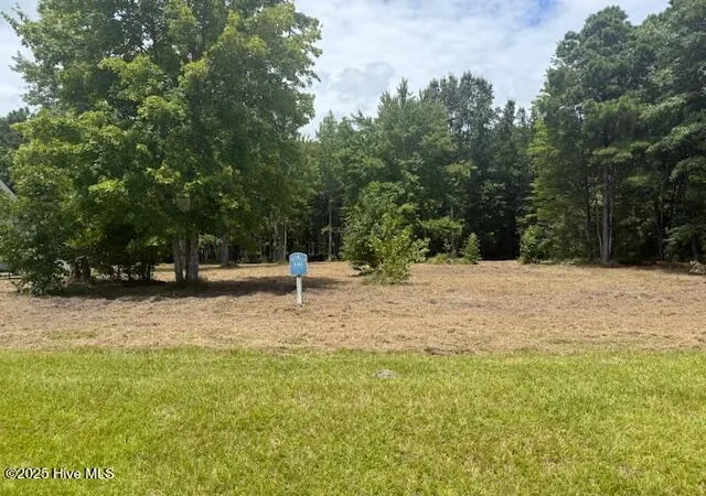 Photo 3 of Land for sale at 175 Colleton Cir, Edenton, NC 27932 | MLS# 100525622 | Listing updated on 2026-04-15