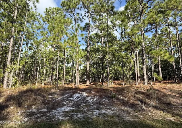Homes for sale in Southport, NC | 585 Westwood Rd, Southport, NC 28461 | MLS# 100585124