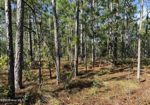 Photo 3 of Land for sale at 585 Westwood Rd, Southport, NC 28461 | MLS# 100585124 | Listing updated on 2026-09-29