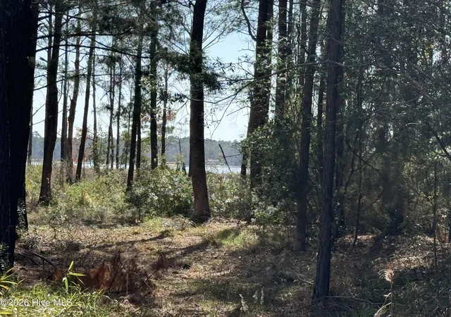 Photo 4 of Land for sale at 116 Wackena Way, Beaufort, NC 28516 | MLS# 100558762 | Listing updated on 2026-03-07