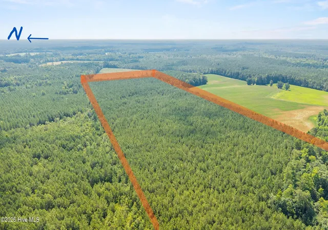 3rd image of 0 Near 8944 Chauncey Town Rd, Lake Waccamaw, NC 28450 | MLS# 100593782
