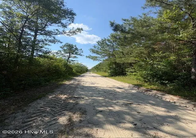 4th image of 0 Near 8944 Chauncey Town Rd, Lake Waccamaw, NC 28450 | MLS# 100593782