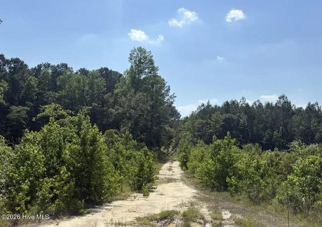 5th image of 0 Near 8944 Chauncey Town Rd, Lake Waccamaw, NC 28450 | MLS# 100593782