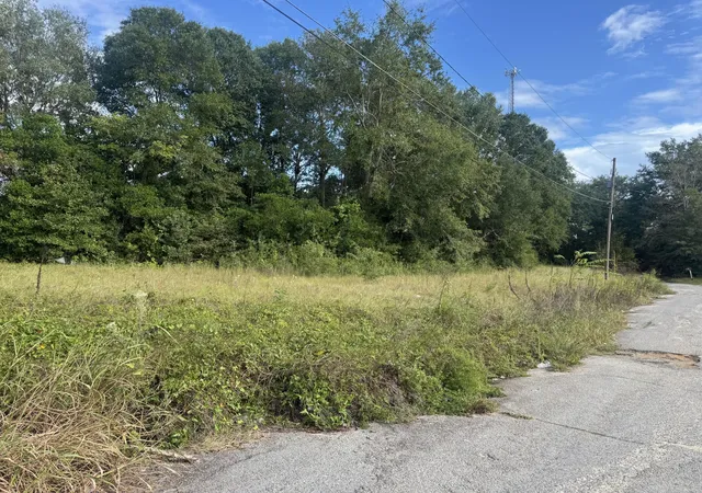 Homes for sale in Waynesboro, GA | 0 Railroad Ave, Waynesboro, GA 30830 | MLS# 98225127