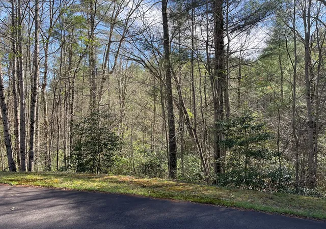 Photo 3 of Land for sale at Lot 89 Spectacular, Hayesville, NC 28904 | MLS# 98544212 | Listing updated on 2026-06-02