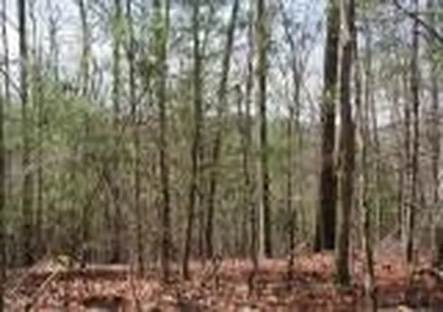 Photo 1 of Land for sale at Lot 7 Lady Ln W, Murphy, NC 28906 | MLS# 100591561 | Listing updated on 2026-08-17