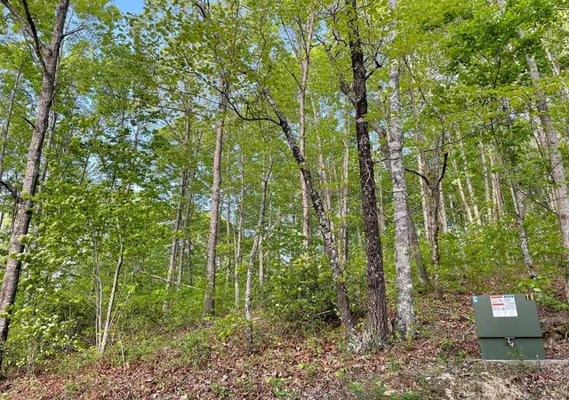 Photo 3 of Land for sale at Trillium Hts, Hayesville, NC 28904 | MLS# 98525266 | Listing updated on 2026-06-02