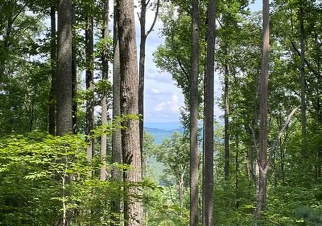 2nd image of Lot 1 High Country Ln, Morganton, GA 30560 | MLS# 98544107