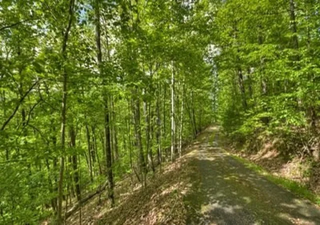 4th image of Lot 1 High Country Ln, Morganton, GA 30560 | MLS# 98544107