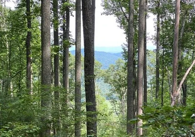 5th image of Lot 1 High Country Ln, Morganton, GA 30560 | MLS# 98544107