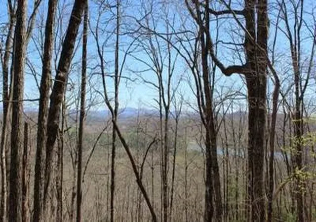 8th image of Lot 1 High Country Ln, Morganton, GA 30560 | MLS# 98544107