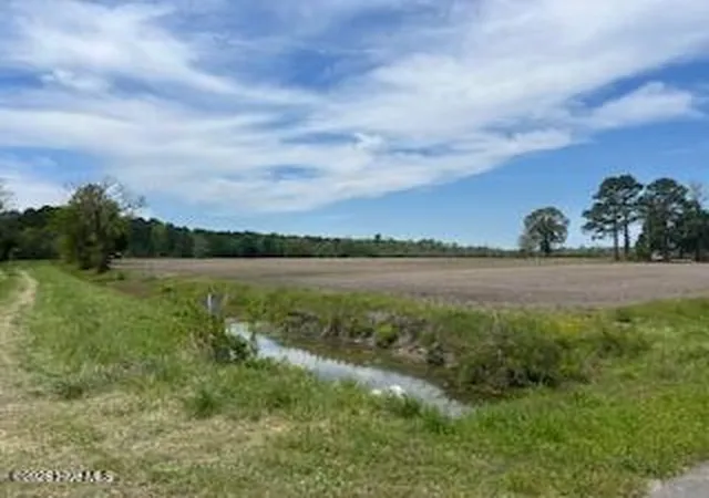 2nd image of 201 Richardson Rd, Dover, NC 28526 | MLS# 100566797