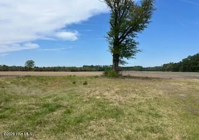 Photo 3 of Land for sale at 201 Richardson Rd, Dover, NC 28526 | MLS# 100566797 | Listing updated on 2026-07-29