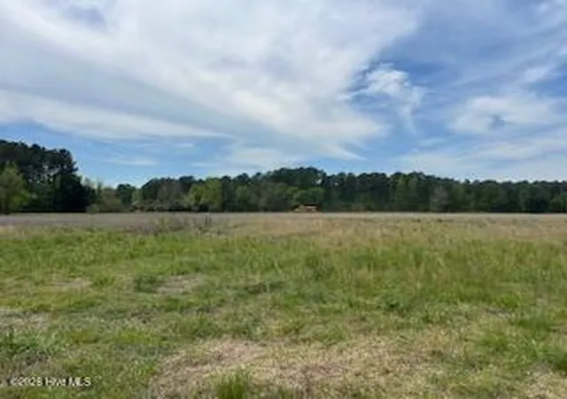 Photo 4 of House for sale at 201 Richardson Rd, Dover, NC 28526 | MLS# 100566797 | Listing updated on 2026-07-29