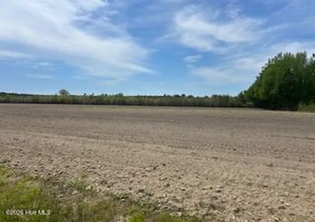 7th image of 201 Richardson Rd, Dover, NC 28526 | MLS# 100566797