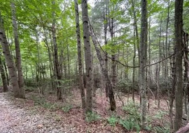 Homes for sale in Topton, NC | Lot 1 Summit View Dr, Topton, NC 28781 | MLS# 98525130