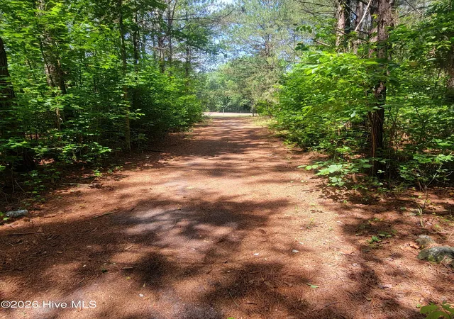 Homes for sale in Burgaw, NC | Tract 3 Old Blakes Bridge Rd, Burgaw, NC 28425 | MLS# 100581279
