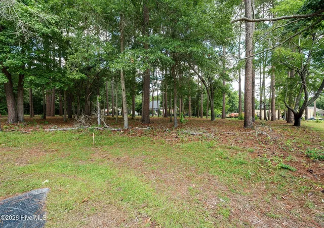 Photo 3 of Land for sale at 1355 Royal Colony Dr, Shallotte, NC 28470 | MLS# 100591139 | Listing updated on 2026-09-03