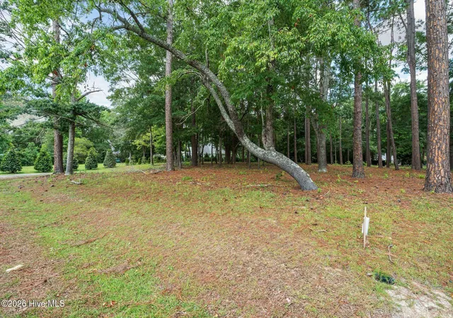 Photo 3 of Land for sale at 1355 Royal Colony Dr, Shallotte, NC 28470 | MLS# 100591139 | Listing updated on 2026-09-03