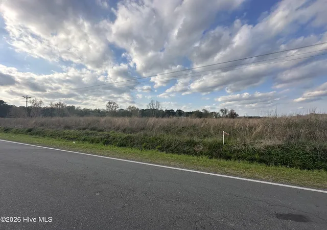 Photo 3 of Land for sale at 207 Pasture Branch Rd Park, Rose Hill, NC 28458 | MLS# 100568229 | Listing updated on 2026-04-22
