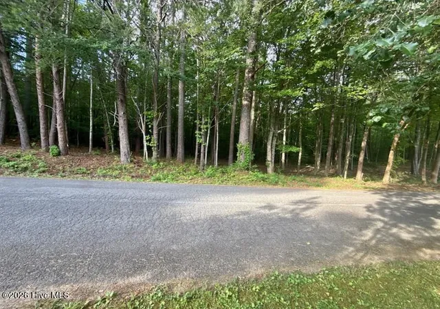 1st image of Lot #5 Tennessee 68, Turtletown, TN 37391 | MLS# 100588077