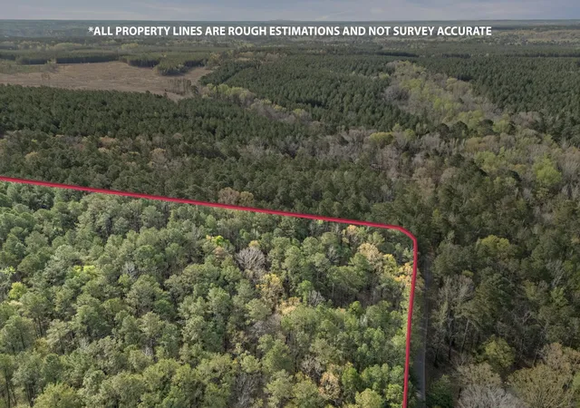 Homes for sale in Tignall, GA | 0 Lbk Cir, Tignall, GA 30668 | MLS# 98254730