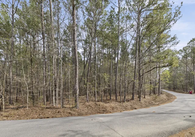 Homes for sale in Tignall, GA | 0 Lbk Cir, Tignall, GA 30668 | MLS# 98254730