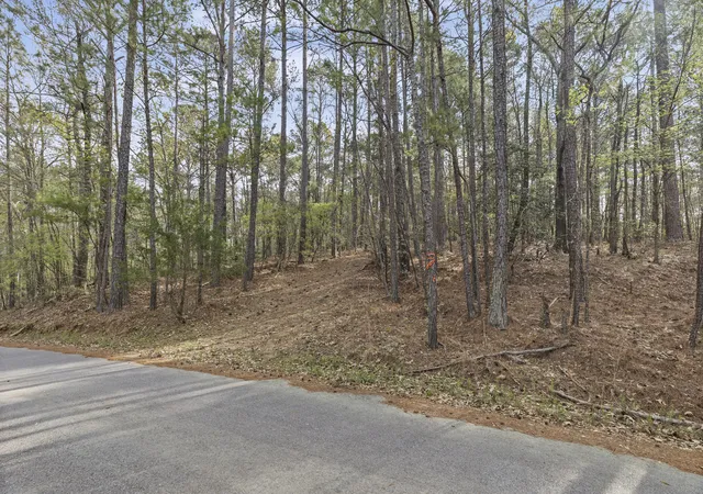 Homes for sale in Tignall, GA | 0 Lbk Cir, Tignall, GA 30668 | MLS# 98254730