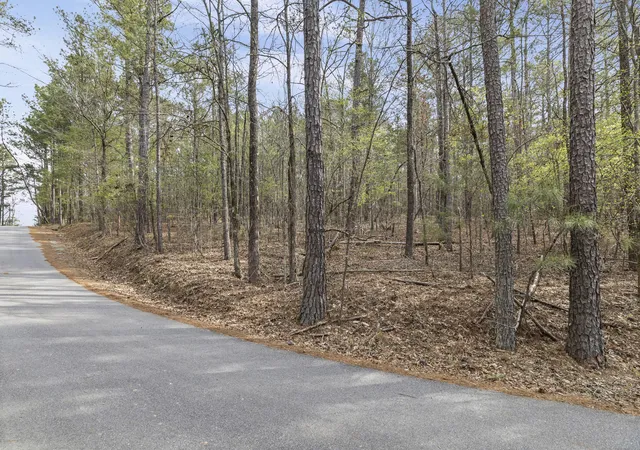 Homes for sale in Tignall, GA | 0 Lbk Cir, Tignall, GA 30668 | MLS# 98254730