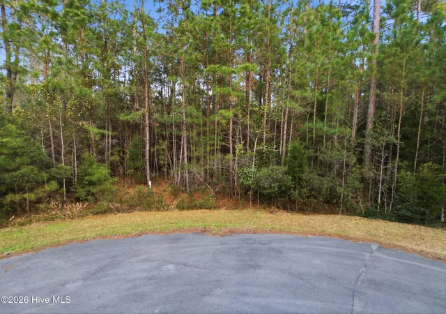 4th image of 121 Mason Ln, Merritt, NC 28556 | MLS# 100564576