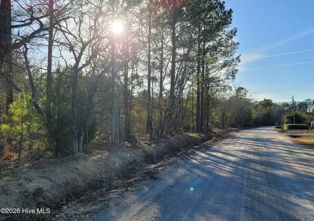 Homes for sale in Loris, SC | Tbd Lot 3 Auburn Dr, Loris, SC 29569 | MLS# 100549206