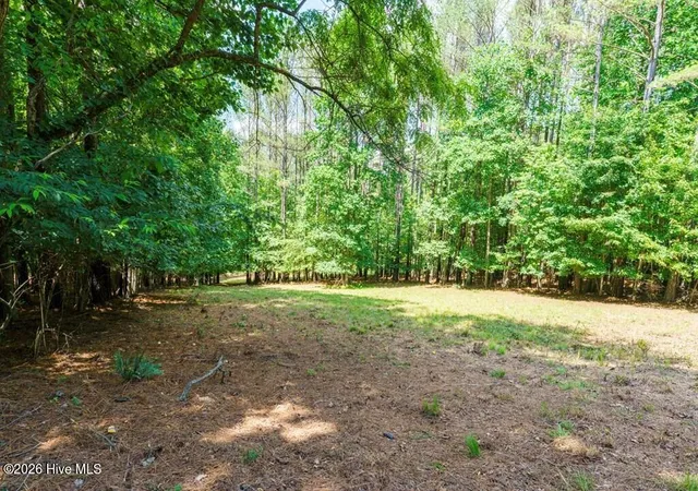 Photo 4 of Land for sale at Lot 20 Loftis Mountain Way, Blairsville, GA 30512 | MLS# 100583576 | Listing updated on 2026-08-04