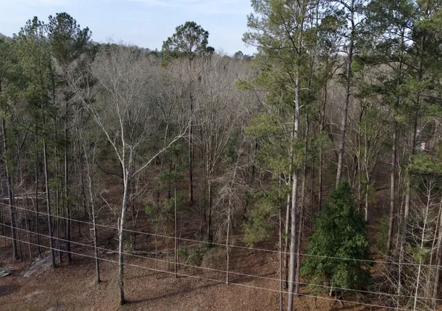 Homes for sale in Hephzibah, GA | 2612 Patterson Bridge Rd, Hephzibah, GA 30815 | MLS# 98254688