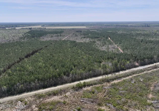 Photo 1 of Land for sale at 0 Guinea Ml Rd, Ernul, NC 28527 | MLS# 100566473 | Listing updated on 2026-08-20