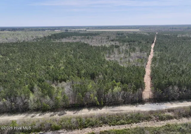 Photo 2 of Land for sale at 0 Guinea Ml Rd, Ernul, NC 28527 | MLS# 100566473 | Listing updated on 2026-08-20