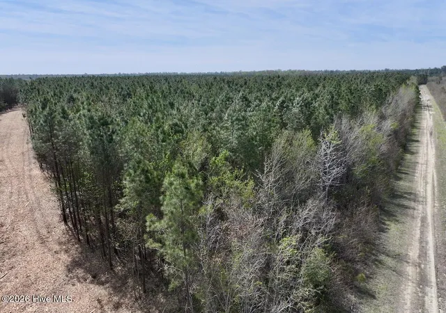 Photo 3 of Land for sale at 0 Guinea Ml Rd, Ernul, NC 28527 | MLS# 100566473 | Listing updated on 2026-08-20