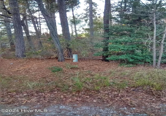 Photo 3 of Land for sale at Lot #1 Stelleys Tabernacle Church Rd, Rockingham, NC 28379 | MLS# 100477744 | Listing updated on 2026-06-27