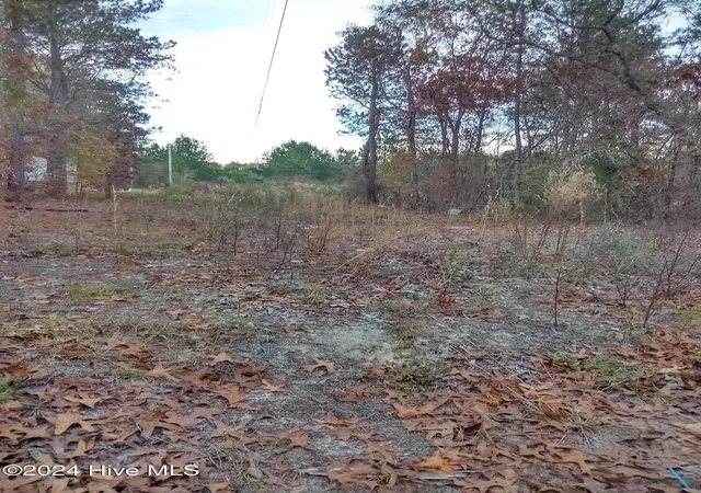 Photo 3 of Land for sale at Lot #1 Stelleys Tabernacle Church Rd, Rockingham, NC 28379 | MLS# 100477744 | Listing updated on 2026-06-27