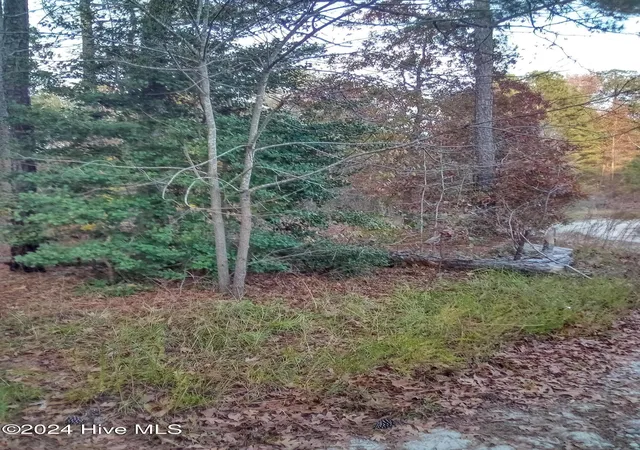 Photo 4 of Land for sale at Lot #1 Stelleys Tabernacle Church Rd, Rockingham, NC 28379 | MLS# 100477744 | Listing updated on 2026-06-27