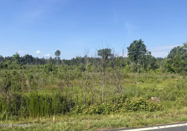 Homes for sale in Ellerbe, NC | Tbd Everett Chappell Rd, Ellerbe, NC 28338 | MLS# 100585772