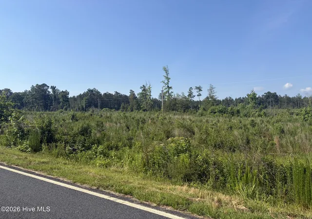 Homes for sale in Ellerbe, NC | Tbd Everett Chappell Rd, Ellerbe, NC 28338 | MLS# 100585772