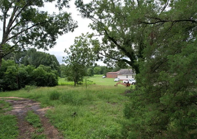 Homes for sale in Keysville, GA | 0 Old Waynesboro Rd, Keysville, GA 30816 | MLS# 98254591