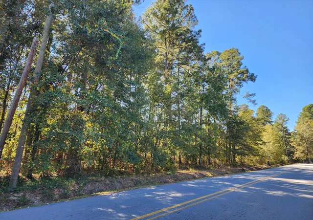 3rd image of 0 Howard St, Wrens, GA 30833 | MLS# 98225046