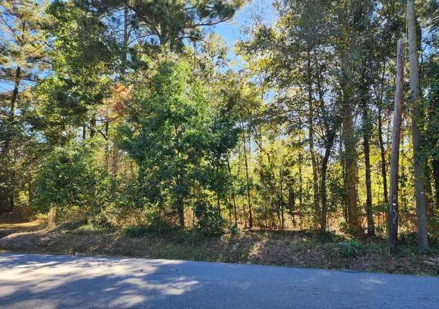 5th image of 0 Howard St, Wrens, GA 30833 | MLS# 98225046