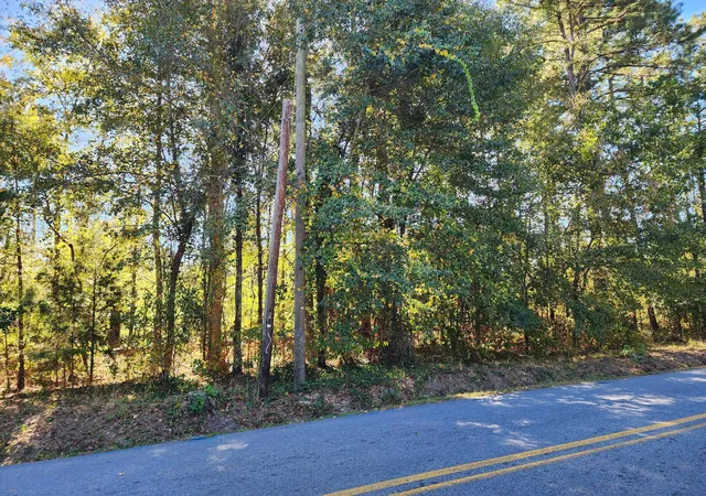 Homes for sale in Wrens, GA | 0 Howard St, Wrens, GA 30833 | MLS# 98225046