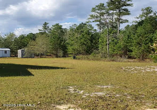 Homes for sale in Marston, NC | 16369 Palmer Rd, Marston, NC 28363 | MLS# 100513429