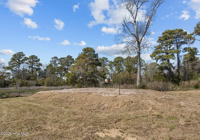 4th image of 662 Fishermans Pt, Newport, NC 28570 | MLS# 100563952
