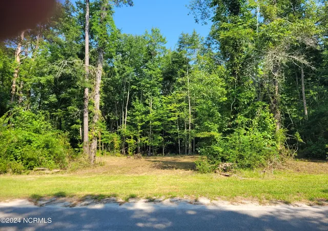 2nd image of 454 Creekview Ln Se, Leland, NC 28451 | MLS# 100553258