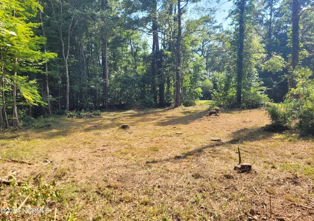 Photo 3 of Land for sale at 454 Creekview Ln Se, Leland, NC 28451 | MLS# 100553258 | Listing updated on 2026-03-01