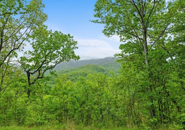 Photo 3 of Single family home for sale at 4187 W Old Murphy Rd, Franklin, NC 28734 | MLS# 98544528 | Listing updated on 2026-08-18